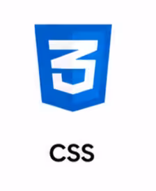 Professional website development services
