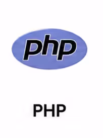 Professional website development services